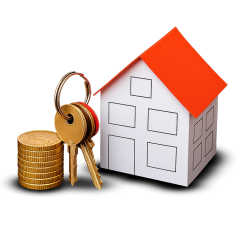 house_14804481 1